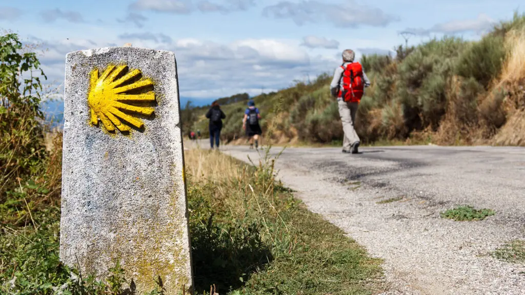 We are a specialist organiser of tailor-made walks and tours on the Camino de Santiago and other parts of Spain.