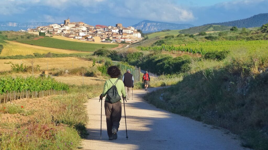 group of pilgrims walking along the camino de sant